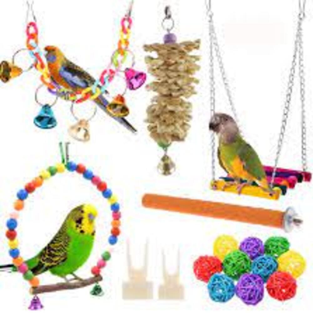 Budgie Cage Toys
